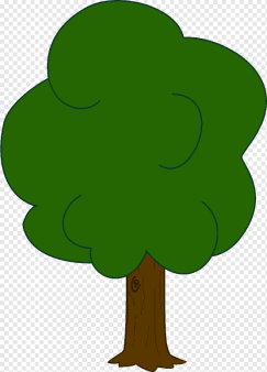 C:\Users\Администратор\Pictures\png-transparent-tree-drawing-tree-leaf-plant-stem-grass.png